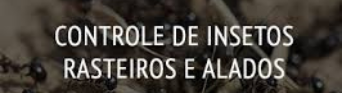 Dedetizadora de insetos Rasteiros  24 HORAS